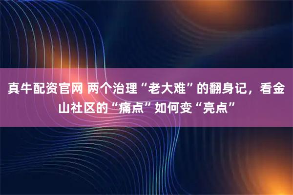 真牛配资官网 两个治理“老大难”的翻身记，看金山社区的“痛点”如何变“亮点”