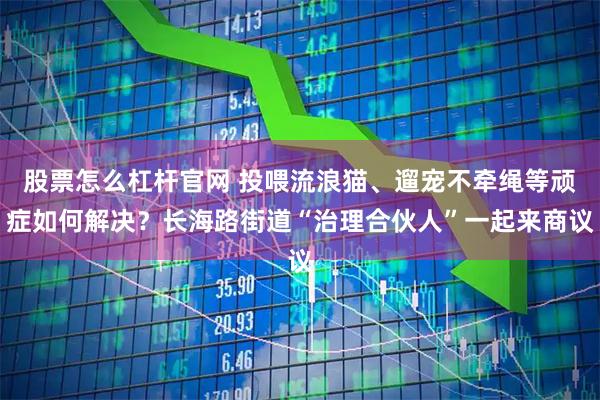 股票怎么杠杆官网 投喂流浪猫、遛宠不牵绳等顽症如何解决？长海路街道“治理合伙人”一起来商议